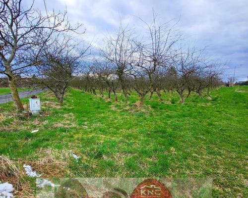 Inwestycyjna działka budowlana w Motyczu