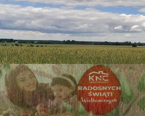 Piękna działka budowlana w Starościnie!!!