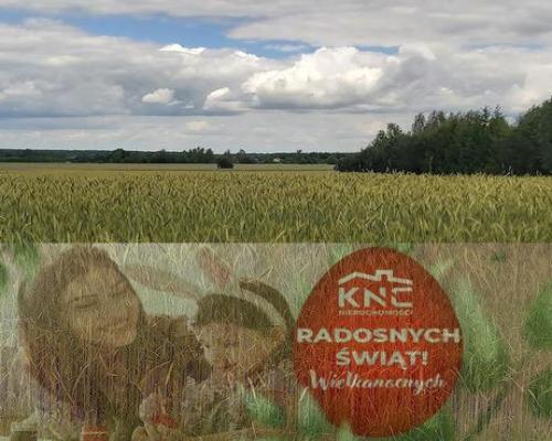 Piękna działka budowlana w Starościnie!!!