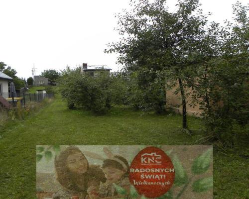 Dom z drewna przy Wiśle ul. Modrzycka w Dęblinie.