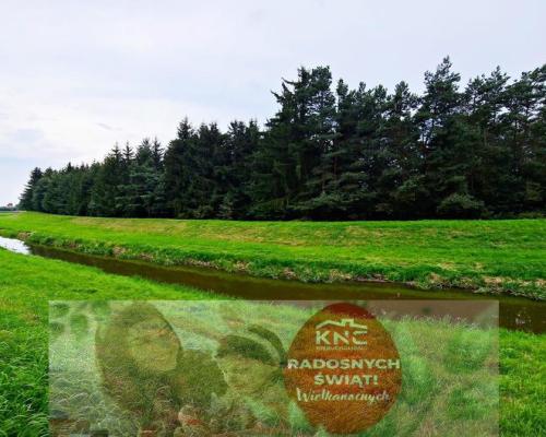 Łąki przy kanale - częściowo pod wydobycie torfu!!