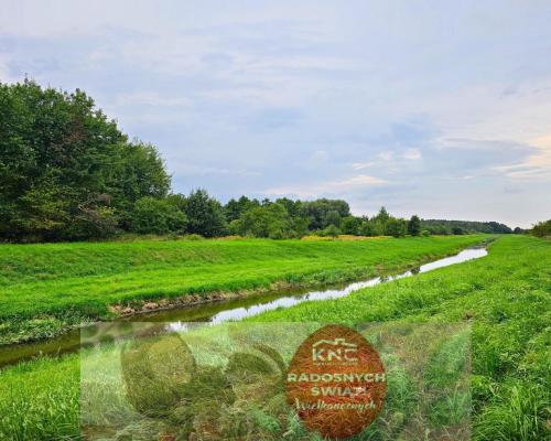 Łąki przy kanale - częściowo pod wydobycie torfu!!