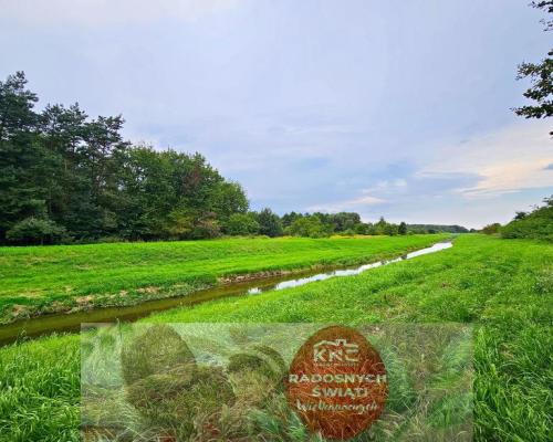 Łąki przy kanale - częściowo pod wydobycie torfu!!