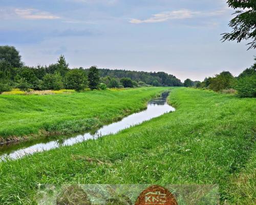 Łąki przy kanale - częściowo pod wydobycie torfu!!
