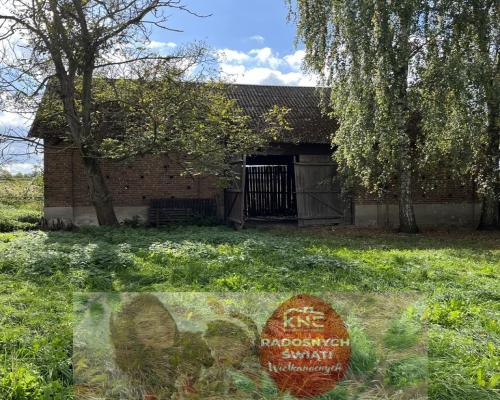 Dwa domy, działka 7400 m kw. w Końskowoli.