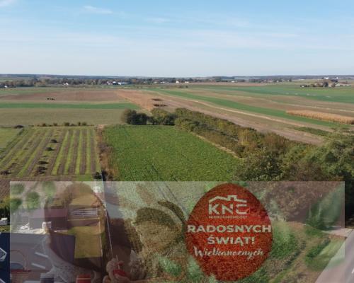 Działka budowlana Krasnystaw ul. Kościuszki 42,8ar