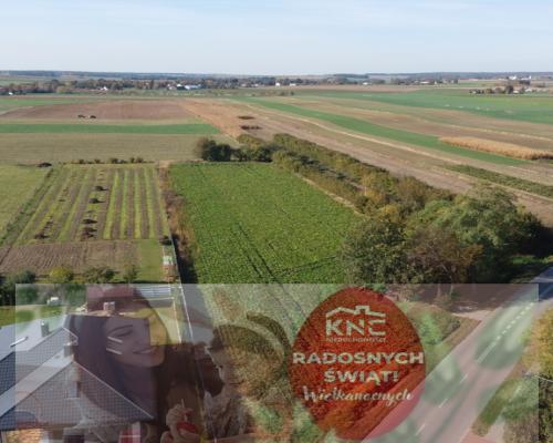 Działka budowlana Krasnystaw ul. Kościuszki 42,8ar