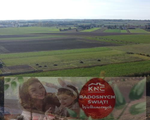 Działka budowlana Krasnystaw ul. Kościuszki 42,8ar