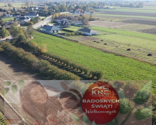 Działka budowlana Krasnystaw ul. Kościuszki 42,8ar