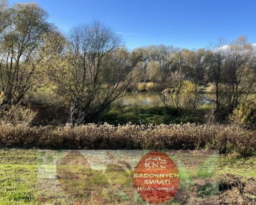 Dom drewniany do remontu na działce w Zakrzowie.