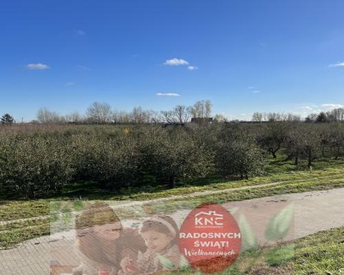 Dom drewniany do remontu na działce w Zakrzowie.