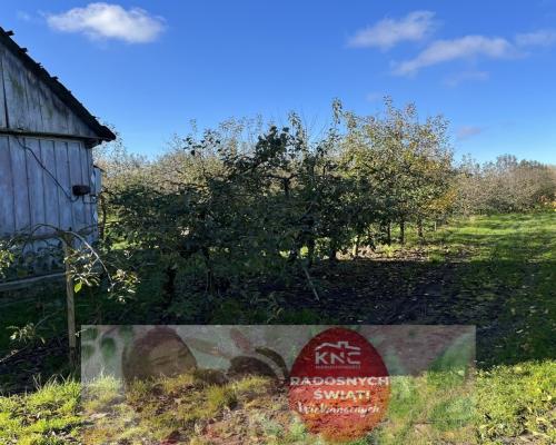 Dom drewniany do remontu na działce w Zakrzowie.