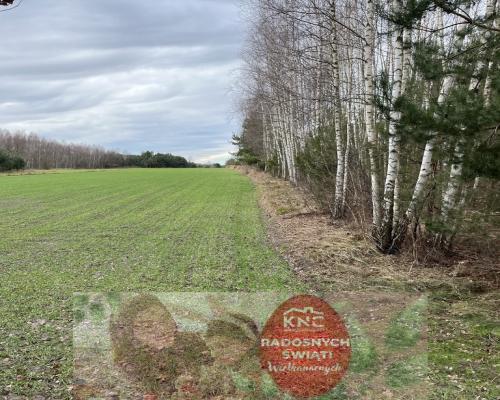 Duża działka inwestycyjna blisko Wisły w Kłudziu.