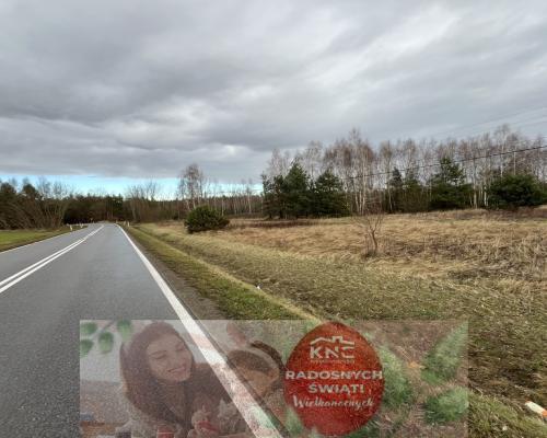 Duża działka inwestycyjna blisko Wisły w Kłudziu.