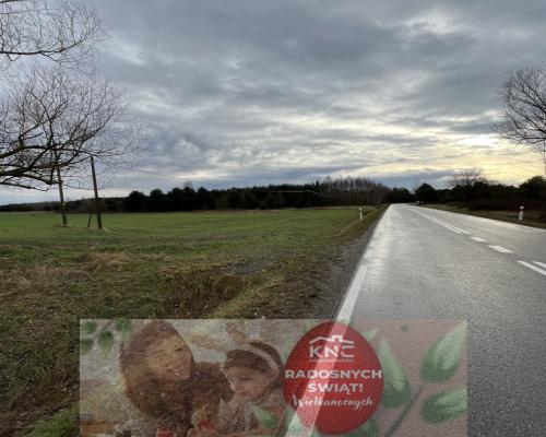 Duża działka inwestycyjna blisko Wisły w Kłudziu.