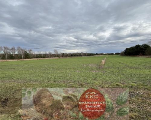 Duża działka inwestycyjna blisko Wisły w Kłudziu.