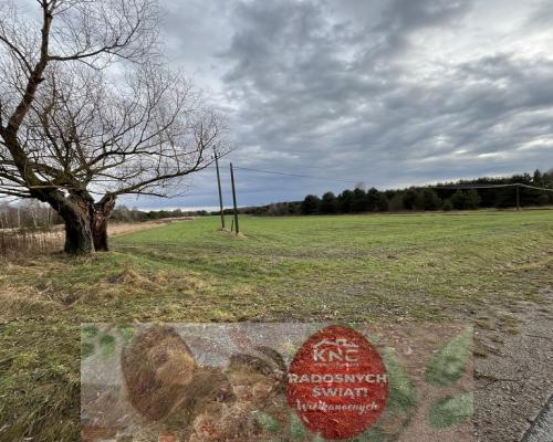 Duża działka inwestycyjna blisko Wisły w Kłudziu.