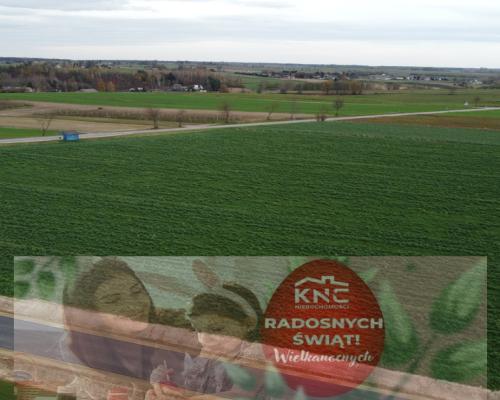 Działka, Zalesie, Wilkołaz, 11 ar, budowlana