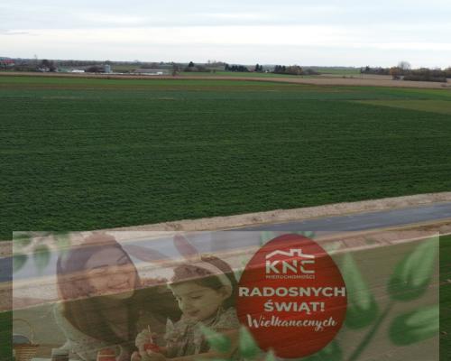 Działka, Zalesie, Wilkołaz, 11 ar, budowlana