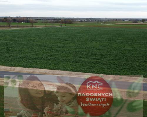 Działka, Zalesie, Wilkołaz, 11 ar, budowlana