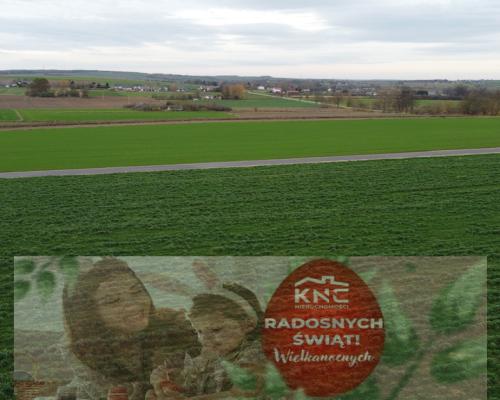 Działka, Zalesie, Wilkołaz, 11 ar, budowlana