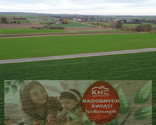 Działka, Zalesie, Wilkołaz, 11 ar, budowlana