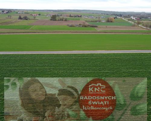 Działka, Zalesie, Wilkołaz, 11 ar, budowlana