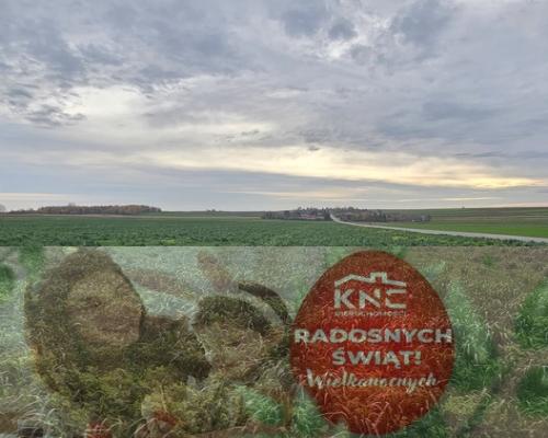 Działka, Zalesie, Wilkołaz, 11 ar, budowlana