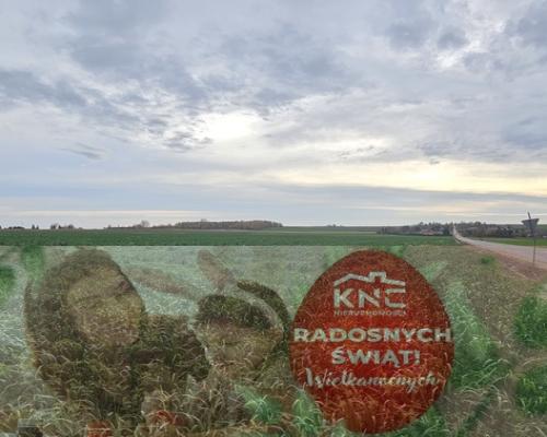 Działka, Zalesie, Wilkołaz, 11 ar, budowlana