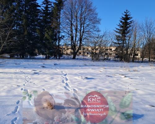 Budynek pod Dom Seniora