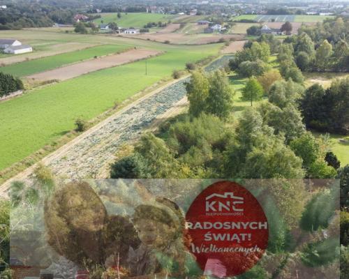 Praktyczne wymiary,zaciszna lokalizację, dużo ziel