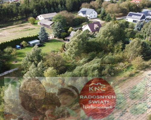 Praktyczne wymiary,zaciszna lokalizację, dużo ziel