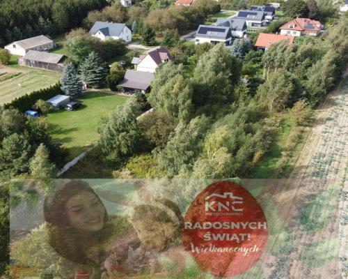 Praktyczne wymiary,zaciszna lokalizację, dużo ziel