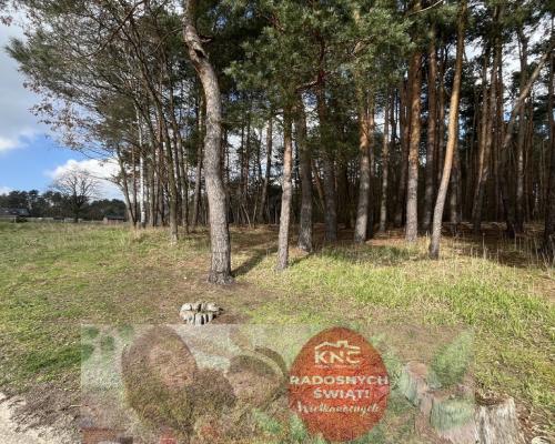 Atrakcyjna działka 2618 m2 w Oblasach-Księżę.