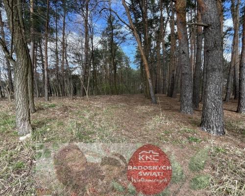 Atrakcyjna działka 2618 m2 w Oblasach-Księżę.