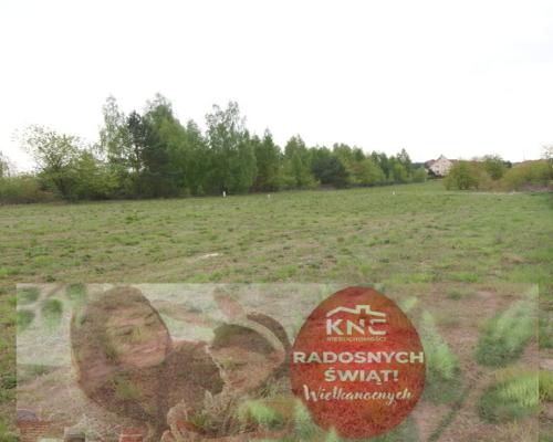 Duża działka budowlana 33ar nad jeziorem Firlej