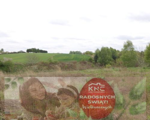 Duża działka rolna ok. 1 ha Jakubowice Konińskie