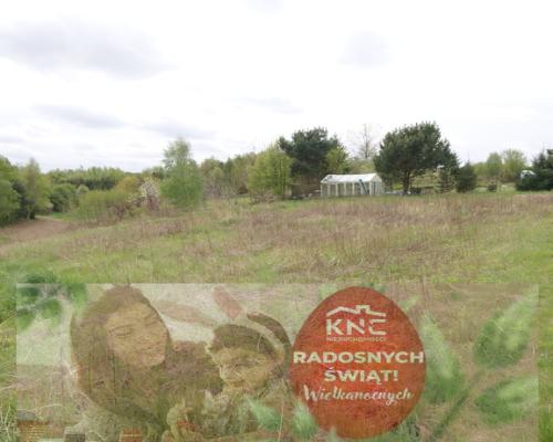 Duża działka rolna ok. 1 ha Jakubowice Konińskie