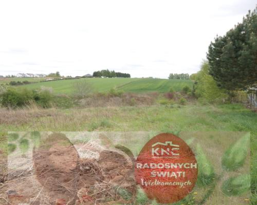 Duża działka rolna ok. 1 ha Jakubowice Konińskie