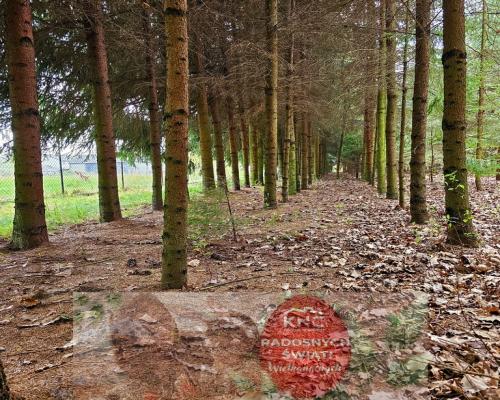 Dąbrowa - dom gotowy do zamieszkania blisko jezior