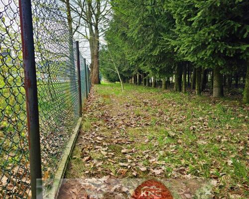 Dąbrowa - dom gotowy do zamieszkania blisko jezior