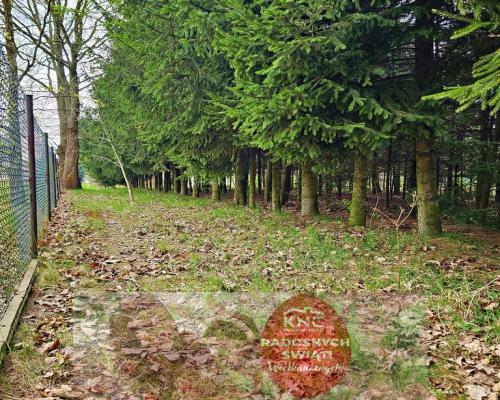 Dąbrowa - dom gotowy do zamieszkania blisko jezior