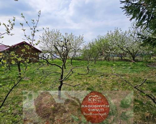 Dąbrowa - dom gotowy do zamieszkania blisko jezior