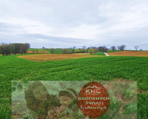 Działka na wzgórzu z niepowtarzalnymi widokami