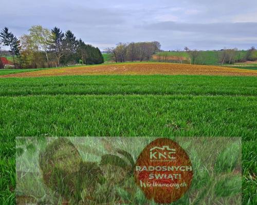 Działka na wzgórzu z niepowtarzalnymi widokami