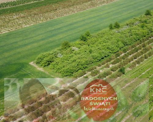 Działka rolno-budowlana w Kamieniu Kolonii.