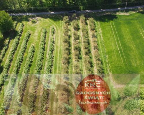 Działka rolno-budowlana w Kamieniu Kolonii.
