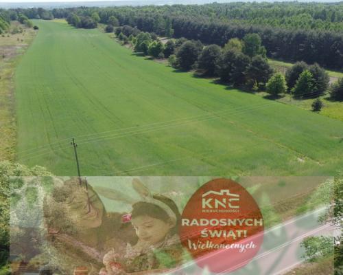 Duża działka inwestycyjna blisko Wisły w Kłudziu.