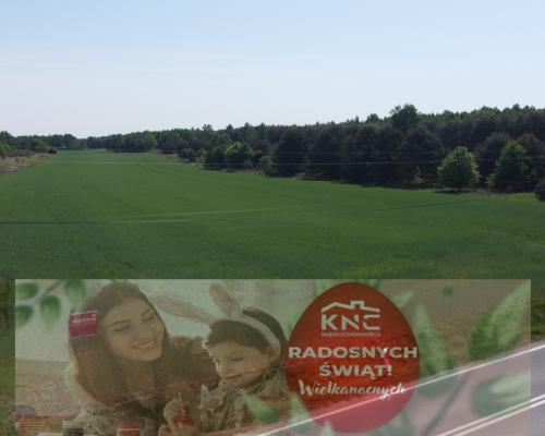 Duża działka inwestycyjna blisko Wisły w Kłudziu.