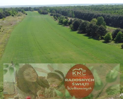 Duża działka inwestycyjna blisko Wisły w Kłudziu.